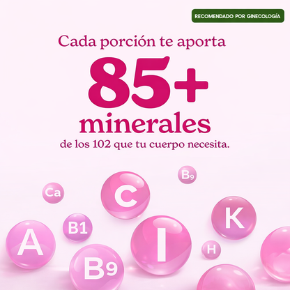 SHE-LAJIT® Honey Sticks