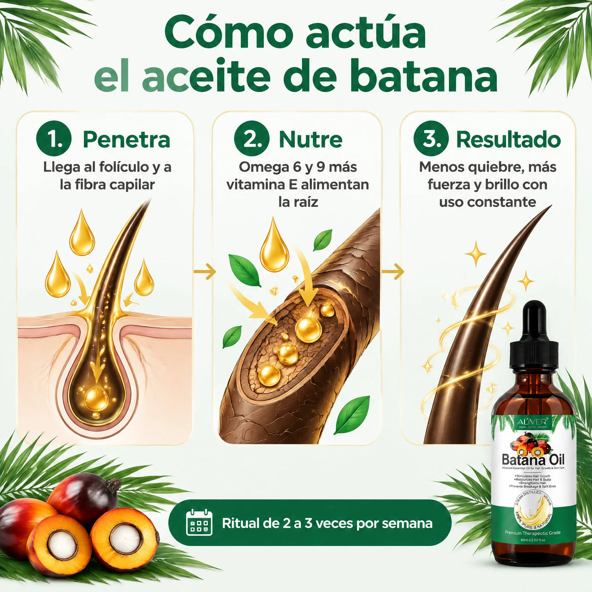 ALIVER Batana Oil (Aceite de Batana para el Cabello)