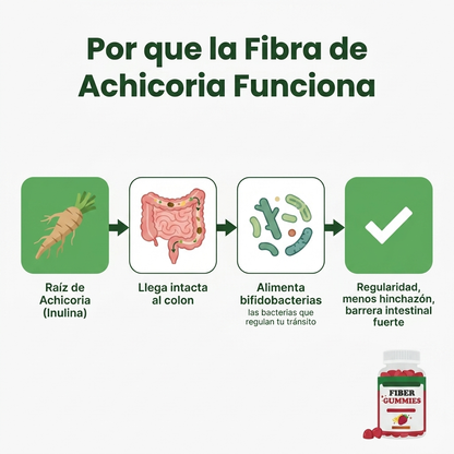 Fiber Gummies