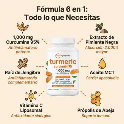 Turmeric Curcumin 95 (120 cápsulas)