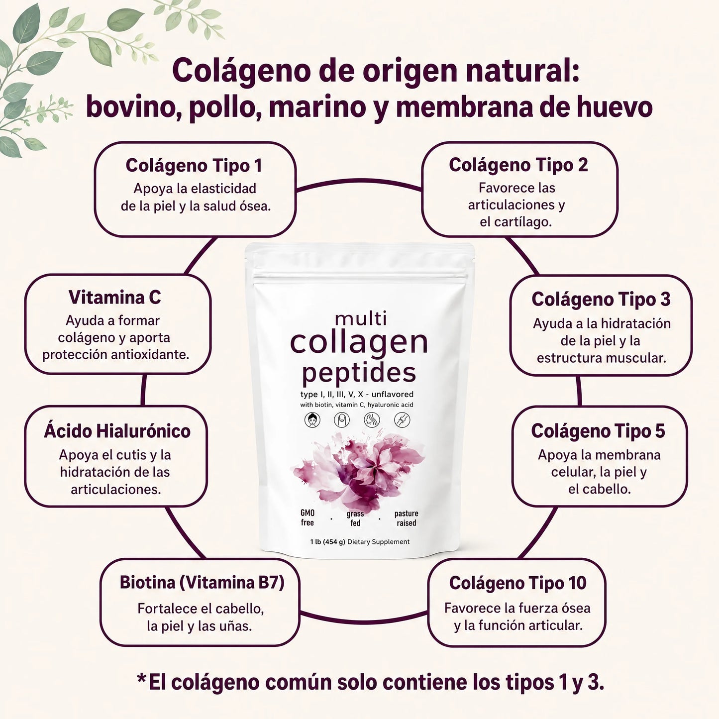 Multi Collagen Peptides Powder
