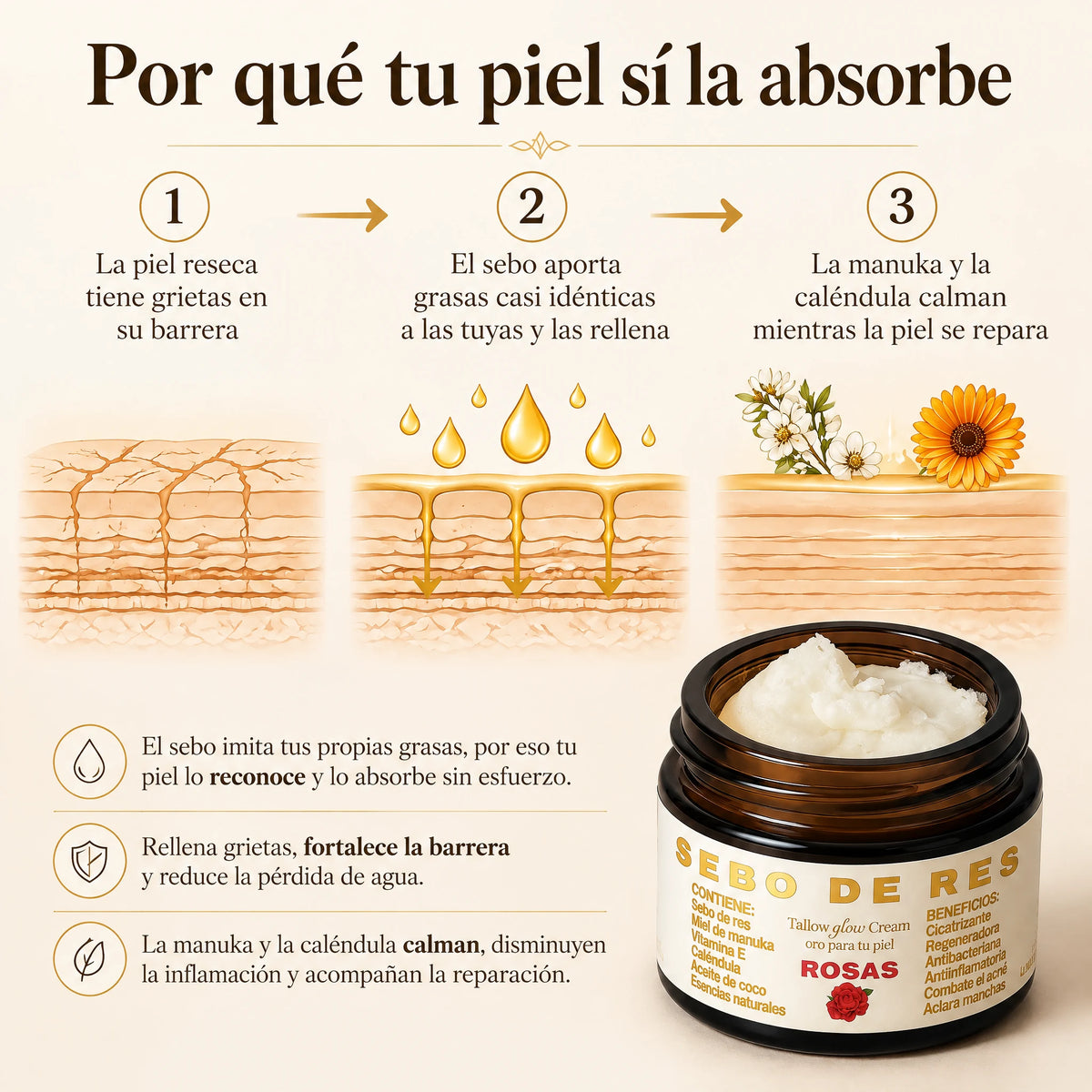 Tallow Glow Cream: por qué tu piel sí la absorbe
